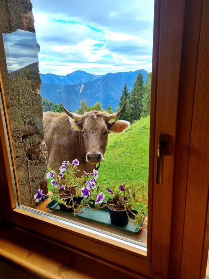 Chalet Chapeau Rar Castel Condino Ngoại thất bức ảnh