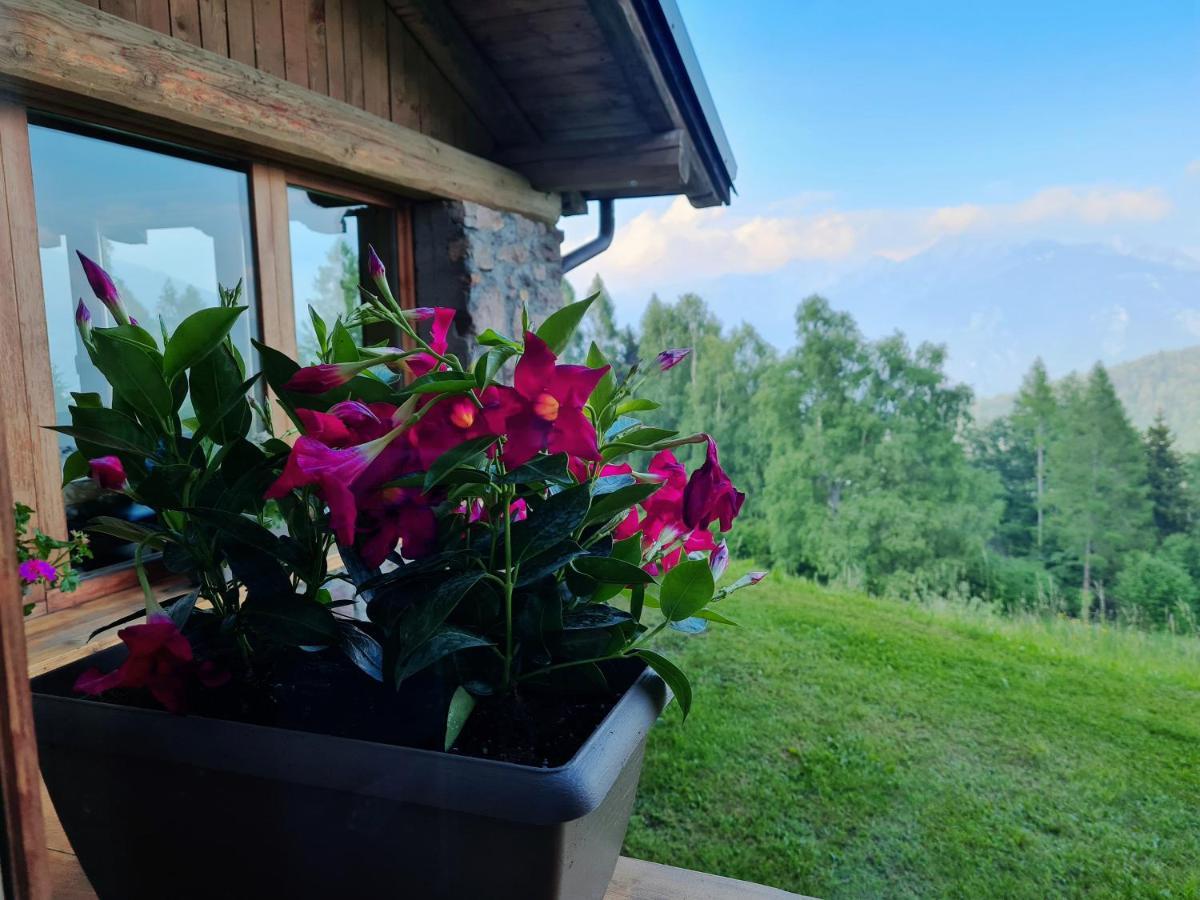 Chalet Chapeau Rar Castel Condino Ngoại thất bức ảnh